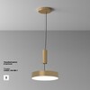 Миниатюра фото потолочный светодиодный светильник maytoni zon c032cl-36w4k-rd-mg | 220svet.ru